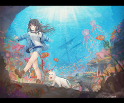  ahoge air_bubble animal bare_legs black_hair blush boots brown_eyes brown_footwear bubble clownfish commentary coral crown daikazoku63 dated denim denim_jacket envelope feline female fish floating_hair highres immersed jacket jellyfish letterboxed light_rays long_hair long_sleeves looking_at_viewer mouth_hold off_shoulder open_clothes open_jacket original outstretched_arms school_of_fish seafloor ship shipwreck shirt short_shorts shorts sleeves_past_wrists smile starfish submerged sunbeam sunlight surreal underwater walking water watercraft white_shirt 