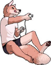  alpha_channel anthro big_tail bottomwear canid canine canis clothed clothing controller countershade_feet countershading domestic_dog feet fuzz fuzzle_(artist) game_controller gaming low_res male mammal nintendo nintendo_controller paws shorts solo tail thumbnail tongue tongue_out underwear wii wii_nunchuk wii_remote 