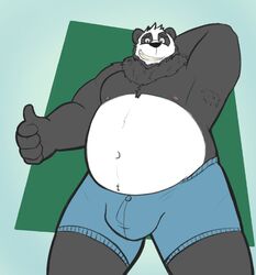  2019 anthro bear belly black_body black_fur bulge clothing dippubear fur giant_panda hi_res humanoid_hands male mammal moobs navel nipples overweight overweight_anthro overweight_male simple_background solo underwear white_body white_fur 