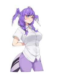  ahoge alternate_costume ameiarts blue_eyes blush braid breasts closed_mouth collared_shirt cowboy_shot cropped_legs dragon_girl dragon_tail female from_side head_wings heterochromia large_breasts long_hair looking_at_viewer nijisanji nijisanji_en oerba_yun_fang pants purple_eyes purple_hair purple_pants raised_eyebrow selen_tatsuki shirt short_sleeves simple_background skin_fang slit_pupils solo swept_bangs tail taut_clothes taut_shirt transparent_background twin_braids virtual_youtuber white_shirt wings 