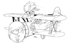  2019 aircraft airplane anthro ballad-of-gilgalad biped biplane black_and_white canid canine clothing crouching digital_media_(artwork) duo eulipotyphlan footwear fox fur gloves grin handwear hedgehog male mammal monochrome plantigrade sega shoes smile sonic_the_hedgehog sonic_the_hedgehog_(series) tails vehicle wind 