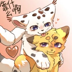  1:1 2026 black_body black_fur blep blue_eyes blush canid canine cel_shading cheek_tuft chinese_text closed_smile digital_drawing_(artwork) digital_media_(artwork) dipstick_ears dipstick_tail duo ear_markings ear_tuft fabulous_beasts facial_tuft felid feral fox front_view fur fur_tuft gesture gradient_background head_tuft heart_symbol hearts_around_head hetao_(fabulous_beasts) kaosma looking_at_another male male/male male_feral male_on_feral mammal markings mengji mouth_closed multicolored_ears murong_xuequan_(meimei) orange_body orange_fur pantherine purple_eyes quadruped shaded simple_background smile snow_leopard spots spotted_body spotted_fur tail tail_gesture tail_heart tail_markings text tongue tongue_out tuft white_body white_fur 
