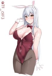  animal_ears bare_shoulders blush breasts brown_eyes detached_collar fake_animal_ears female highres kantai_collection large_breasts leotard long_hair looking_at_viewer pantyhose playboy_bunny rabbit_ears red_leotard shoukaku_(kancolle) solo strapless strapless_leotard tf_cafe white_hair 