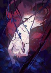  arms_up blonde_hair branch closed_eyes dungeon_meshi expressionless facing_viewer falin_touden falin_touden_(chimera) female from_above haohaoya52356 highres leaf lying monster_girl on_back organs pale_skin parted_lips plant short_hair solo taur thorns vine_bondage vines 