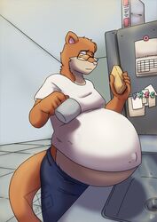  2023 absurd_res anthro appliance belly big_belly blue_eyes bottomwear brown_body brown_fur calendar cereal_box clothing container cup eyewear fridge fridge_magnet fur glasses hi_res kitchen kitchen_appliance magnet male mammal mustelid musteline navel outie_navel pants pregnant pregnant_anthro pregnant_male randomgirl1265 shirt signature sink solo sponge tan_body tan_fur topwear true_musteline washing_dishes watermark weasel 