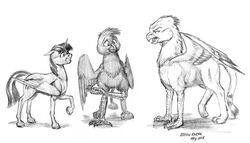  2015 alicorn avian baron_engel equid equine feathered_wings feathers female feral free_agent_(mlp) friendship_is_magic fur goldfur&#039;s_cogsverse greyscale group gryphon hair hasbro hooves horn male mammal monochrome my_little_pony mythological_avian mythological_creature mythological_equine mythology scuted_arms scutes spread_wings tail traditional_media_(artwork) trio twilight_sparkle_(mlp) unicorn_horn wings 