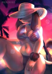  2020 absurd_res anthro bikini black_nose breasts canid canine canis clothing collar digital_media_(artwork) domestic_dog eri-yo female hat headgear headwear hi_res mammal midriff navel princess_(nicoya) solo swimwear 