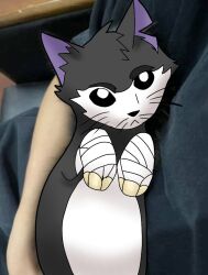 bandaged_hand black_body black_fur crow_(thedeathcrow) crowundeadcat domestic_cat felid feline felis feral fur male mammal meme mixed_media paws photo_background photography_(artwork) solo whiskers white_eyes 