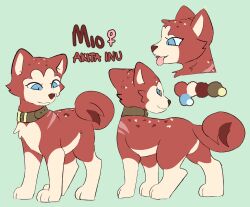  akita akita_inu bloowolfy blue_eyes brown_collar canid canine canis collar domestic_dog fan_character female feral fur ginga_(series) hi_res mammal model_sheet red_body red_fur smile solo spitz 