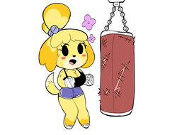  1girls animal_crossing big_breasts black_sports_bra blue_shorts breasts cleavage clothed clothing female female_only furry isabelle_(animal_crossing) mob_face nintendo onibifazk open_mouth punching_bag shoes shorts shortstack solo sports_bra sweat tagme taped_hands white_background white_shoes 