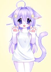  ahoge animal_ear_fluff animal_ears animal_hands artist_name cat_ears cat_girl cat_tail female furry furry_female hair_between_eyes highres kigidere legs_together long_hair open_mouth original purple_eyes purple_hair shirt signature simple_background smile solo straight-on tail tail_raised white_shirt yellow_background 