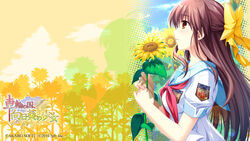  alpha_(yukai_na_nakamatachi) blush brown_hair female flower half_updo highres hinata_natsumi_(sharin_no_kuni) orange_eyes photoshop_(medium) ribbon school_uniform sharin_no_kuni_himawari_no_shoujo solo sunflower 