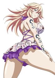  ikkitousen shibai_chuutatsu tagme 