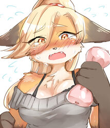  anthro blonde_hair blush bodily_fluids bra breasts canid canine clothed clothing countershading crying dipstick_ears ear_markings fangs female flying_sweatdrops fox fox&#039;s_sister_(kinokoningen) hair hair_over_eye hi_res kemono kinokoningen mammal multicolored_ears one_eye_obstructed open_mouth orange_eyes penetrable_sex_toy sex_toy solo sweat sweatdrop sweater tears teeth topwear translated_description translucent translucent_hair underwear 