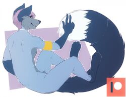  2020 anthro biped blue_body blue_fur blue_nose blue_tail canid canine coffaefox digital_drawing_(artwork) digital_media_(artwork) dipstick_tail emmett_jayhart english_text fox fur fur_markings gloves_(marking) hair leg_markings looking_at_viewer male male_anthro mammal markings multicolored_body multicolored_fur multicolored_tail nude nude_anthro nude_male patreon patreon_logo paws purple_hair raised_hand rear_view red_fox silver_fox simple_background sleepeatea smile socks_(marking) solo tail tail_markings text true_fox white_tail_tip yellow_eyes 