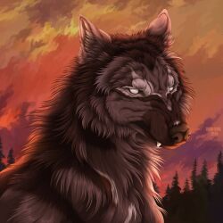  1:1 2024 ambiguous_feral ambiguous_gender artist_name brown_body brown_fur brown_nose canid canine cheek_tuft dated empty_eyes facial_tuft fangs feral fur hi_res mammal mouth_closed msdeadsoul neck_tuft outside plant solo teeth text tree tuft white_eyes 