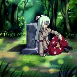  bad_id bad_pixiv_id crying crying_with_eyes_open female forest fujiwara_no_mokou grass grave hair_ribbon long_hair looking_down nature profile red_eyes ribbon sad shoes sitting solo sunlight suspenders tat_(artist) tears touhou 