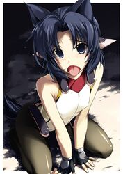  animal_ears black_legwear blue_eyes blue_hair bodysuit dog_tail female female flat_chest kyoukaisenjou_no_horizon satomi_yoshiyasu shikei solo tail 