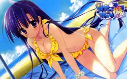  bikini cleavage feng hoshizora_e_kakaru_hashi koumoto_madoka mizugi ryohka wallpaper 