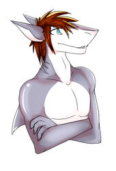  2015 anthro barely_visible_teeth blue_eyes brown_hair conditional_dnp crossed_arms dahsharky_(character) fin fingers fish grey_arms grey_body grey_ears grey_fin grey_hands grey_head grey_neck hair male marine mouth_closed multicolored_body shalame shark simple_background snout solo teeth white_background white_body white_face white_inner_ear white_neck 