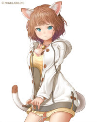  :t animal_ears bad_id bad_pixiv_id bell blue_eyes breasts brown_hair buttons cable cat_ears commentary_request cowboy_shot dress female hood hood_down hoodie large_breasts looking_at_viewer original photoshop_(medium) ribbon short_hair simple_background solo ss39 standing tail watermark white_background 