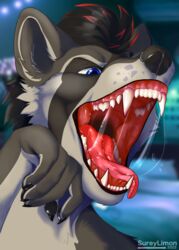  absurd_res anthro bodily_fluids canadien condescending furry hi_res male mammal open_mouth procyonid raccoon rexouium saliva saliva_string smug solo suggestive vore 