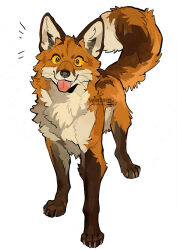  artist_name black_nose blep brown_body brown_ears brown_fur canid canine claws digital_drawing_(artwork) digital_media_(artwork) dipstick_tail feral fox full-length_portrait fur leg_markings looking_at_viewer mammal markings monotone_background multicolored_body multicolored_fur orange_body orange_fur paws portrait quadruped red_fox simple_background smile socks_(marking) tail tail_markings teeth text toe_claws tongue tongue_out true_fox whiskers white_background white_body white_fur windwttom yellow_sclera 
