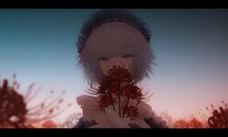  bare_shoulders blue_sky blurry chocoshi commentary_request depth_of_field female field flower flower_field highres letterboxed light_particles looking_at_viewer original red_eyes red_flower short_hair sky solo spider_lily upper_body white_hair 