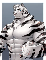  1boy abs animal_ears arknights bara chest_hair completely_nude fluffy furry furry_male highres kenjilo_(kenjilokung) large_pectorals looking_at_viewer male_focus mountain_(arknights) muscular muscular_male navel navel_hair no_nipples nude pectorals scar scar_across_eye scar_on_arm scar_on_face scar_on_stomach short_hair solo stomach tiger_boy tiger_ears upper_body white_fur white_hair 