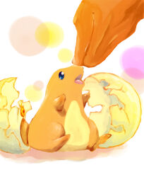  aged_down ayumu3 baby charizard charmander commentary_request eggshell fat flame-tipped_tail hatching no_humans partial_commentary pokemon pokemon_(creature) 