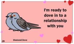  5:3 ambiguous_gender animated avian beak bird birdcheese black_eyes columbid diamond_dove digital_media_(artwork) dove duo english_text feral heart_symbol holidays humor low_res pun short_playtime text valentine&#039;s_day 