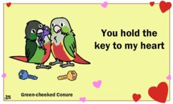  5:3 ambiguous_gender animated avian beak bird birdcheese black_eyes digital_media_(artwork) duo english_text feral green-cheeked_conure heart_symbol holidays humor low_res neotropical_parrot parakeet parrot pun short_playtime text true_parrot valentine&#039;s_day 