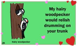  5:3 ambiguous_gender animated avian beak bird birdcheese black_eyes digital_media_(artwork) duo english_text feral hairy_woodpecker heart_symbol holidays humor innuendo joke low_res picid plant pun short_playtime text tree valentine&#039;s_day woodpecker 