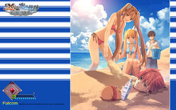  adol_christin aisha_(ys) bikini eiyuu_densetsu eiyuu_densetsu:_sora_no_kiseki enami_katsumi estelle_bright falcom joshua_bright swimsuits ys ys_seven 