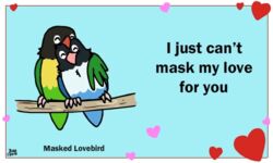  5:3 ambiguous_gender animated avian beak bird birdcheese black_eyes digital_media_(artwork) duo english_text feral heart_symbol holidays humor looking_at_viewer lovebird low_res masked_lovebird parrot pun short_playtime text true_parrot valentine&#039;s_day 