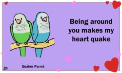  5:3 ambiguous_gender animated avian beak bird birdcheese black_eyes blush closed_eyes digital_media_(artwork) duo english_text feral heart_symbol holidays humor low_res monk_parakeet neotropical_parrot parakeet parrot pun short_playtime text true_parrot valentine&#039;s_day 