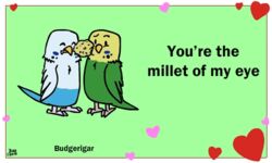  5:3 ambiguous_gender animated avian beak bird birdcheese black_eyes budgerigar digital_media_(artwork) duo feral heart_symbol holidays humor loriinae low_res parakeet parrot pun short_playtime true_parrot valentine&#039;s_day 