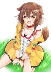  :3 animal_ears bone_hair_ornament bracelet braid breasts brown_hair cleavage collar commentary_request dog_ears dog_girl dog_tail fangs female grass hair_between_eyes hair_ornament highres hololive inugami_korone inugami_korone_(1st_costume) jewelry kamesys long_hair looking_at_viewer nail_polish open_mouth seiza shirt sitting smile solo tail virtual_youtuber white_shirt yellow_eyes 