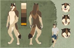  2026 4_toes 5_fingers absurd_res alternate_version_at_source anthro athletic athletic_anthro athletic_male bared_teeth barefoot belly biped black_claws black_lips black_nose black_pawpads bottomwear brown_body brown_fur bryn_(wandering_wolf_guy) canid canine canis chest_tuft claws clock close-up closed_eyes clothing color_swatch countershade_belly countershade_face countershade_hands countershading covering covering_crotch covering_self curled_fingers digital_media_(artwork) digitigrade dipstick_tail dipstick_toes ears_back ears_down fangs feet finger_claws fingers flat_colors fluffy fluffy_tail front_view fur green_background happy headshot_portrait hi_res inner_ear_fluff lips looking_at_viewer male mammal mane markings model_sheet multicolored_body multicolored_fur multiple_angles mythological_canine mythological_creature mythology narrowed_eyes neck_tuft nude nude_anthro nude_male one_eye_closed open_mouth pawpads paws pecs pivoted_ears portrait pose rear_view relaxed_expression relaxing sharp_teeth shirt shorts silly_face simple_background skullsbesan smaller_version_at_source smile solo standing t-shirt tail tail_markings tan_body tan_fur teeth textured_background toe_claws toes tongue tongue_out topwear tuft watch werecanid werecanine werecreature werewolf wolf wristwatch yellow_eyes 