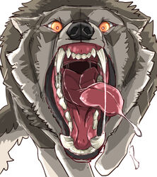  ambiguous_gender attack black_lips bodily_fluids canid canine canis fangs feral fur gaping_mouth grey_body grey_fur hi_res lips mammal mouth_shot open_mouth saliva saliva_string sharp_teeth simple_background snarling solo teeth tongue tongue_out white_background wolf wolftapioca yellow_eyes 