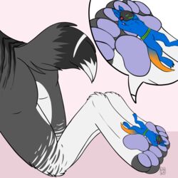  1:1 4_toes anthro ass ass_up black_body black_fur blue_body blue_fur canid canine canis chill closed_eyes comfort duo electronic extreme_size_difference feet foot_fetish foot_focus foot_play fur grey_body grey_fur hi_res hybrid kneeling lavender_(disambiguation) lying machine male male/male mammal multicolored_body multicolored_fur multicolored_tail on_back orange_body orange_fur pawpads paws protogen raised_tail samuelthewolf samuelwolfo screen screen_face signature size_difference sleeping solo_focus tail tail_motion tailwag toes two_tone_body two_tone_fur white_body white_fur wolf zgrate 