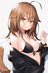  :3 ahoge bare_shoulders bikini bikini_top_only black_bikini black_jacket blush breasts brown_eyes brown_hair cleavage closed_mouth collarbone commentary_request female front-tie_bikini_top front-tie_top grey_background hair_between_eyes hair_flaps halterneck hand_up highres jacket komomo_(ptkrx) long_hair long_sleeves looking_at_viewer medium_breasts off_shoulder open_clothes open_jacket orange_eyes original simple_background smile solo strap_gap string_bikini swimsuit tail tail_raised upper_body white_background wolf_tail 