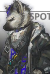  2019 absurd_res anthro arknights black_hair blue_hair clothing collar fur grey_body grey_fur hair hi_res hyena hypergryph jacket looking_away male mammal multicolored_hair prooof_(artist) shirt solo spot_(arknights) spotted_hyena studio_montagne t-shirt topwear two_tone_hair 