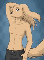 abstract_background anthro black_nose blue_eyes bottomwear brown_body brown_fur brown_hair canid canine canis clothed clothing domestic_dog fur hair kurapika long_hair looking_at_viewer male mammal pants pose raven_wolf simple_background solo steve_(raven_wolf) tan_body tan_fur topless