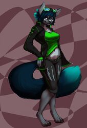 2014 anthro barefoot biped breasts canid canine clothed clothing feet female fur grey_body grey_fur hair hi_res mammal midriff shapeshifterprincess solo