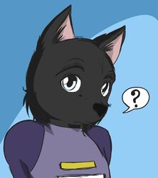 abstract_background black_body black_fur black_nose blue_background canid canine canis clothing fur hair kurapika male mammal question_mark raven_wolf reaction_image shirt short_hair simple_background solo topwear white_eyes wolf yula_(raven_wolf)