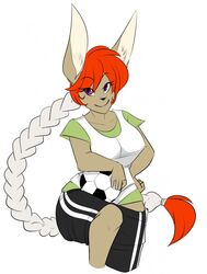 anthro athletic athletic_anthro athletic_female ball bangs big_breasts big_ears bottomwear braided_hair breasts brown_body brown_fur clothed clothing digital_media_(artwork) eye_through_hair female fur hair hand_on_hip hi_res holding_ball holding_object lagomorph leporid long_ears long_hair looking_at_viewer mammal micki multicolored_hair purple_eyes rabbit raised_leg red_hair shirt shorts single_braid smile soccer soccer_ball solo sport topwear translucent translucent_hair tsubame_asakura two_tone_hair white_hair