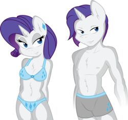 2014 absurd_res alpha_channel ambris anthro anthrofied blue_eyes boxer_briefs bra breasts chest_tuft cleavage clothed clothing duo equid equine female friendship_is_magic fur gray-gold hair hasbro hi_res horn male mammal my_little_pony mythological_creature mythological_equine mythology navel nipples panties purple_hair rarity_(mlp) rule_63 simple_background smile square_crossover transparent_background tuft underwear unicorn white_body white_fur