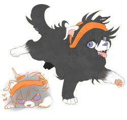  aberu514 animalization bad_id bad_pixiv_id black_dog blue_eyes canine full_body headband jojo_no_kimyou_na_bouken looking_at_viewer multiple_views narancia_ghirga no_humans open_mouth puppy running simple_background white_background 