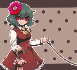  commentary_request female flower green_hair hair_flower hair_ornament kazami_yuuka leash red_eyes short_hair solo touhou umbrella urita_(vivivinicol) 